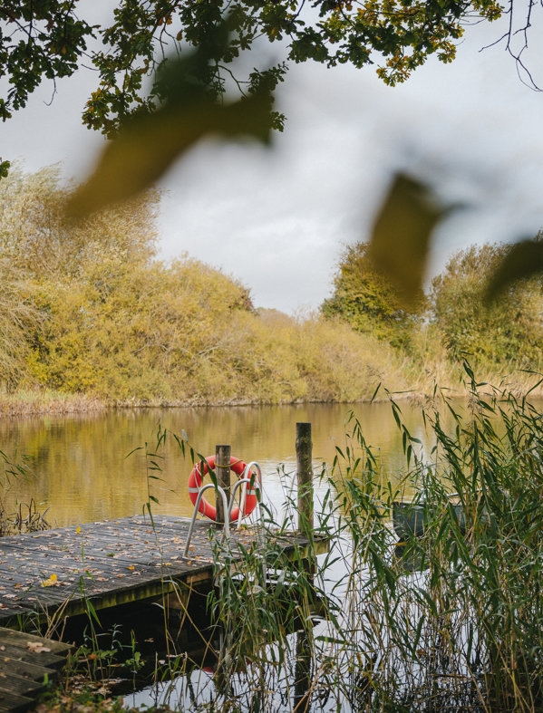 Rewild Swimming